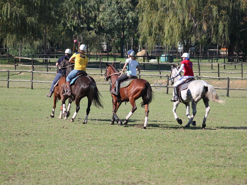 Schüler reiten beim Polocross Spielen auf Pferden