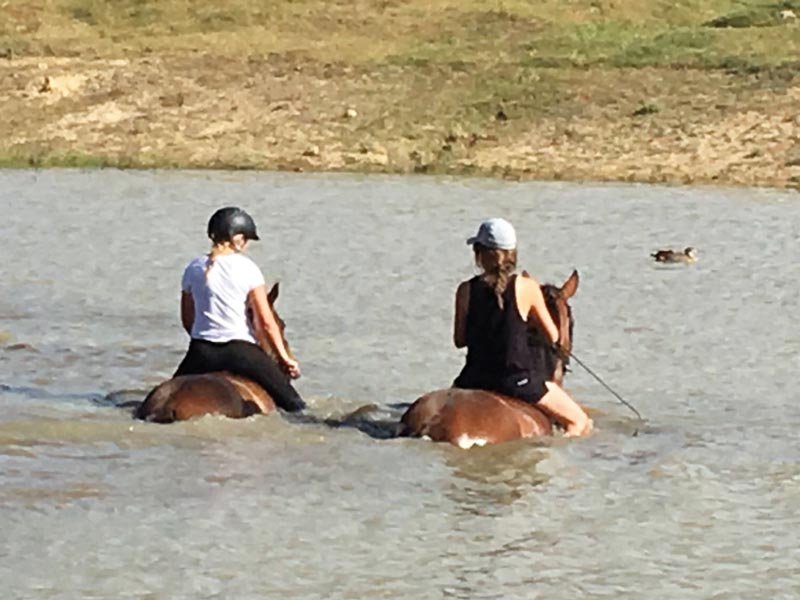 Mädchen reiten auf Pferden durch tiefes Gewässer